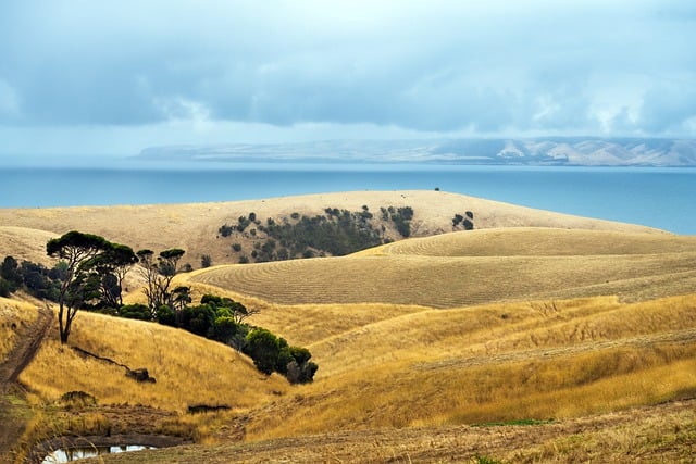 Bild på Australiens slätter med havet i bakgrunden.
