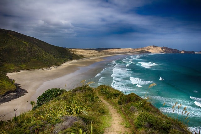 Bild på en fantastisk strand på Nya Zeeland.