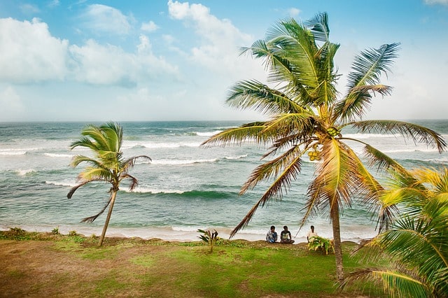 Bild från Sri Lanka.